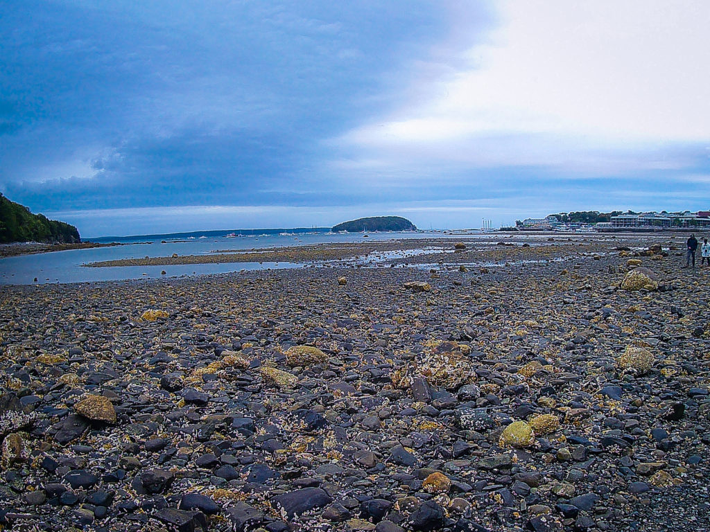 Low Tide on the path to Bar Island
