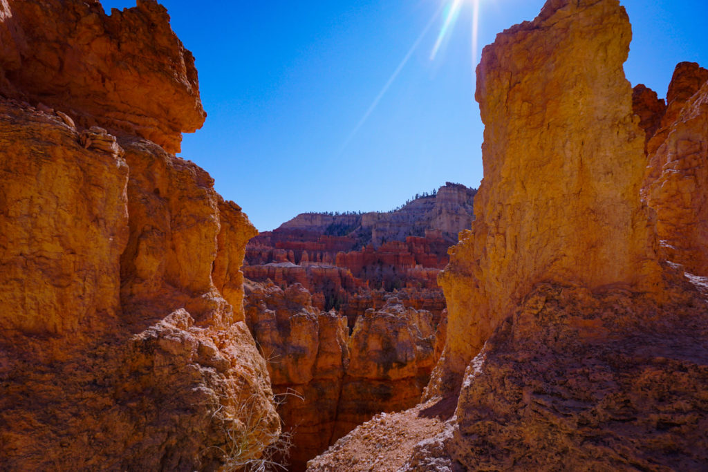 Hoodoos Bryce Canyon National Park Utah