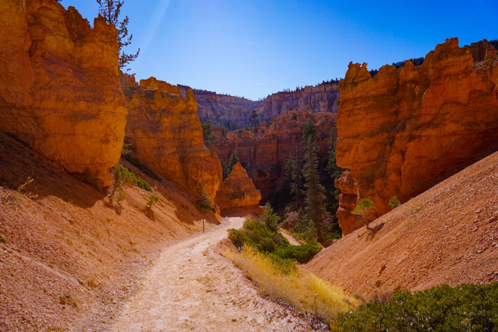 Along Peekaboo Loop Bryce Canyon National Park