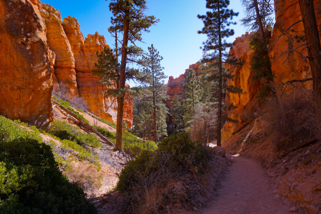 Bryce Canyon National Park Peekaboo Loop Trail