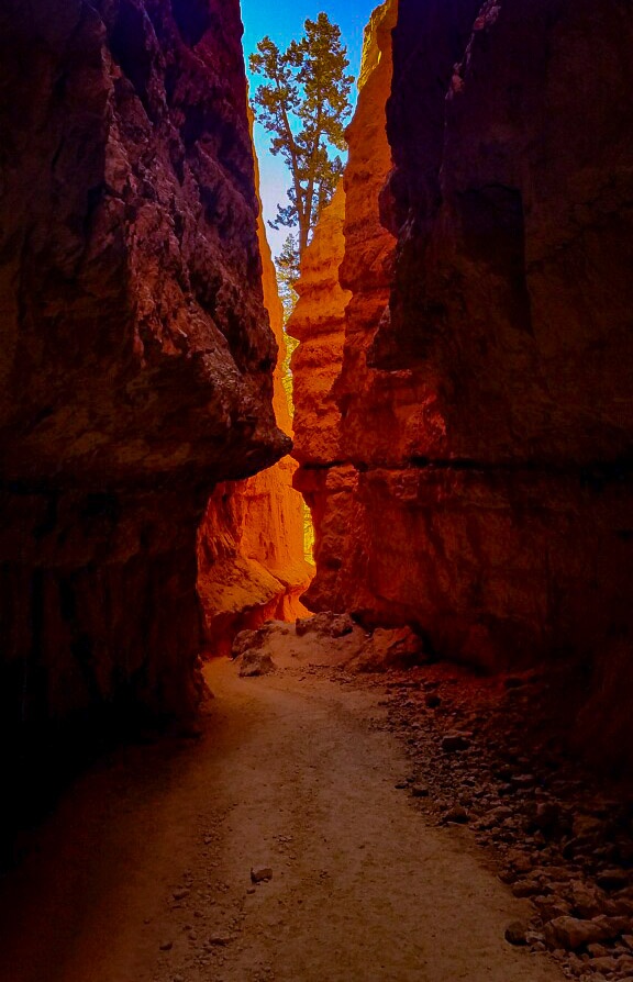 Wall Street Bryce Canyon