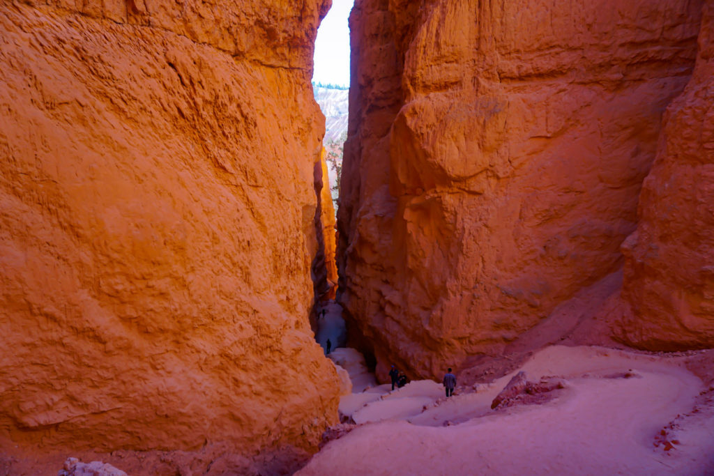 Wall Street Navajo Loop Trail