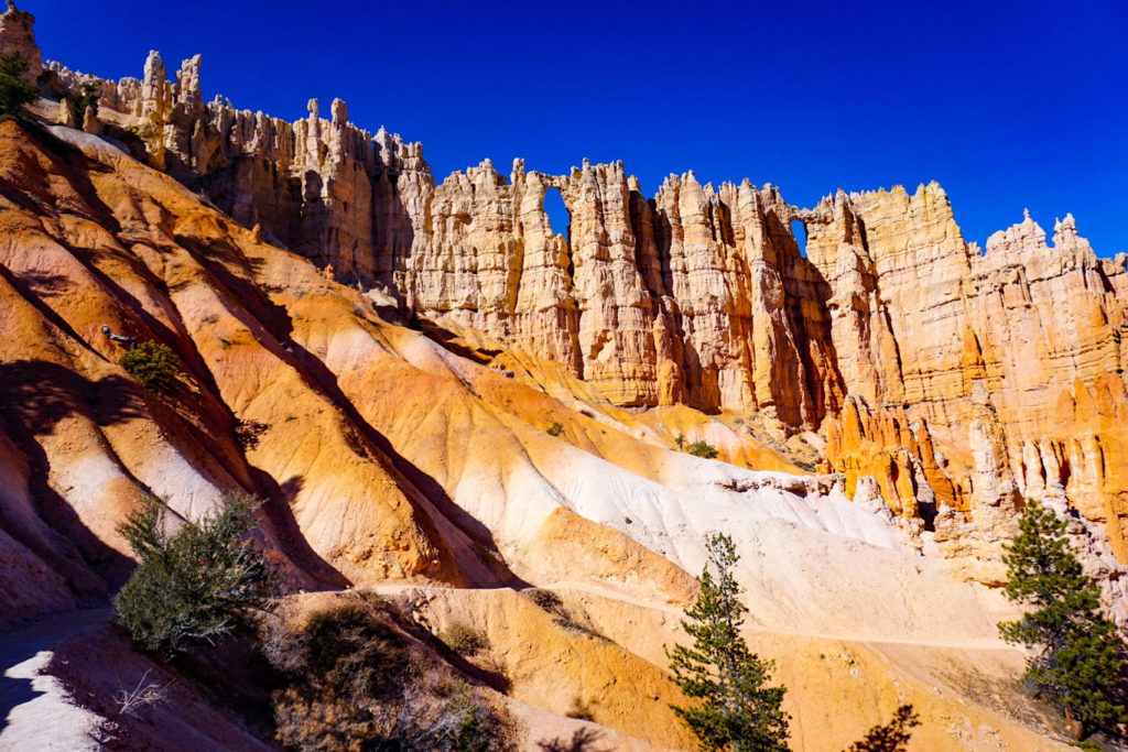 Wall of Windows on Peekaboo Loop